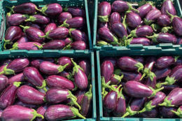 Спеціаліст назвав три найкращих гібриди баклажанів