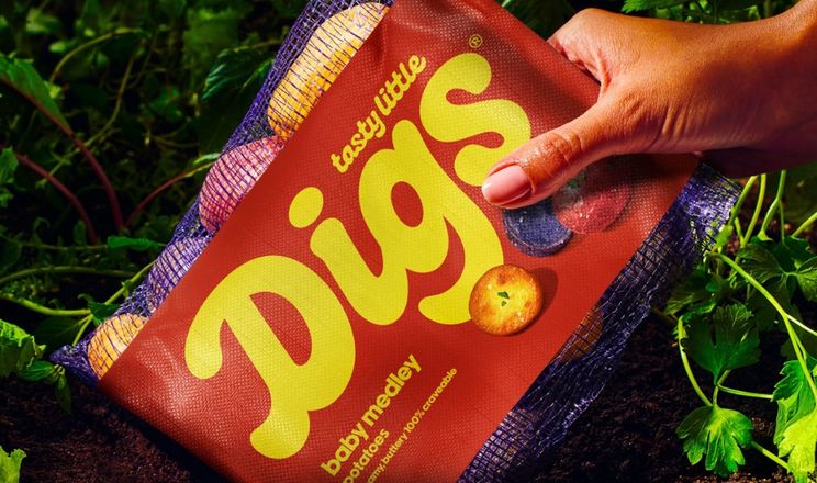 Американці знайшли елітні сорти картоплі в Нідерландах