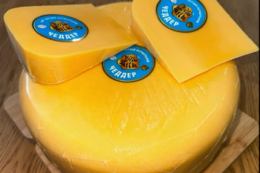 Villa Milk почала варити чеддер