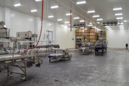 У Дрогобичі відкрили новий цех заморозки ягід