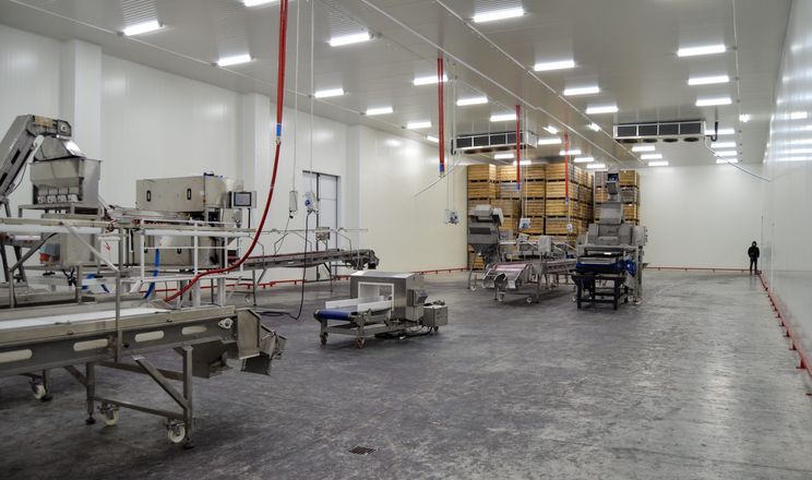 У Дрогобичі відкрили новий цех заморозки ягід