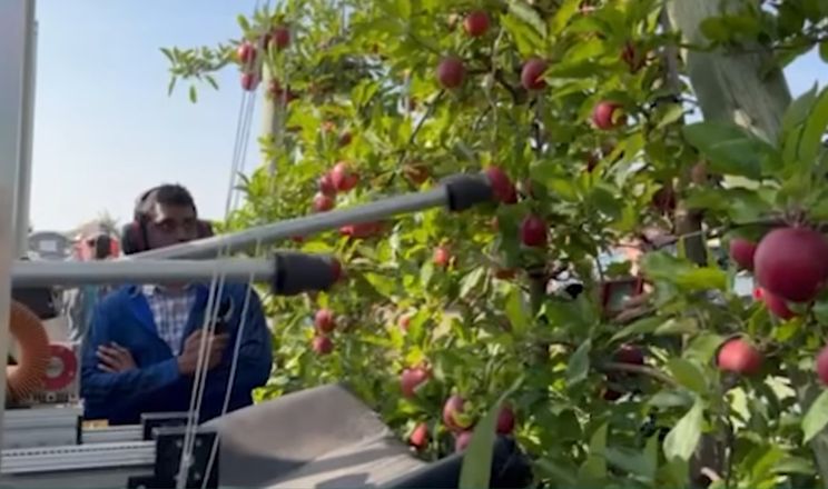 Американські вчені розробили робота з двома «руками» для збору яблук