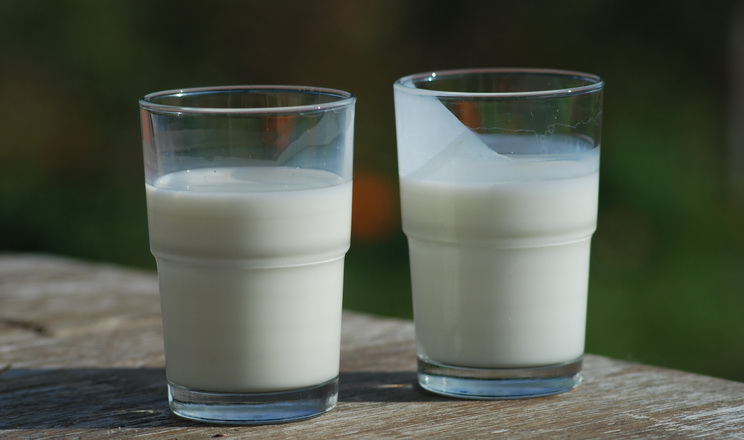 У 2025 році Україна наростила імпорт і експорт маслянки