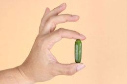 На виставці Fruit Logistica 2026 представлять найменший у світі огірок Popits