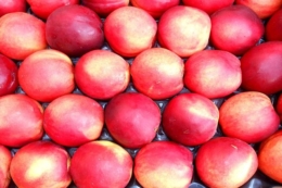 Споживачі чітко розрізняють солодкі та класичні нектарини, — тест в Італії