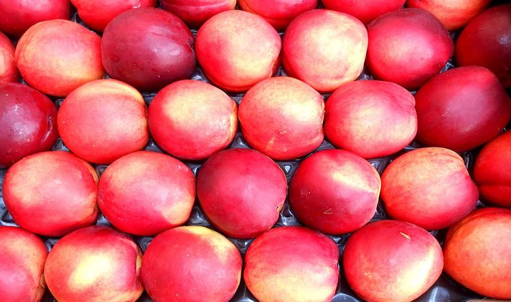 Споживачі чітко розрізняють солодкі та класичні нектарини, — тест в Італії