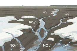 Рання відлига на полях – це період пікового забруднення річок нітратами