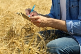 «Сингента» та МХП створили освітній курс для розвитку сталого агробізнесу в Україні