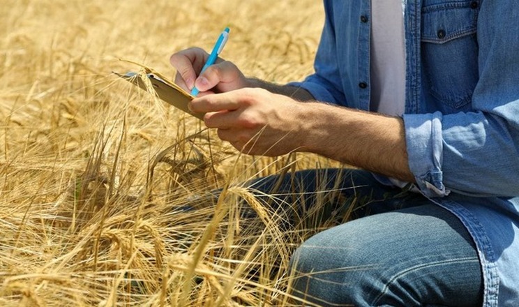 «Сингента» та МХП створили освітній курс для розвитку сталого агробізнесу в Україні