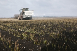 Головні проблеми ґрунтів Хмельниччини назвав фахівець