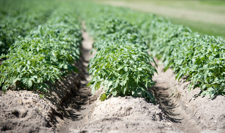 Ринок втрачає одне рішення, але отримує інше — актуальне й перспективне