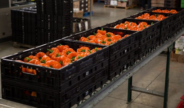 Інвестиції в багаторазову тару для ритейлу окуповуються за 1 рік&nbsp;