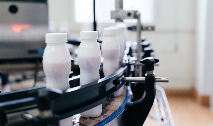 Сонячна електростанція забезпечує понад третину потреб «Радивилівмолока»