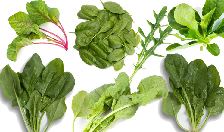 Зелений тренд під час війни: чому споживання бебі-ліф культур в Україні продовжує зростати