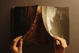 Артбук «Шлях Зерна» здобув три нагороди на Impact Awards Europe