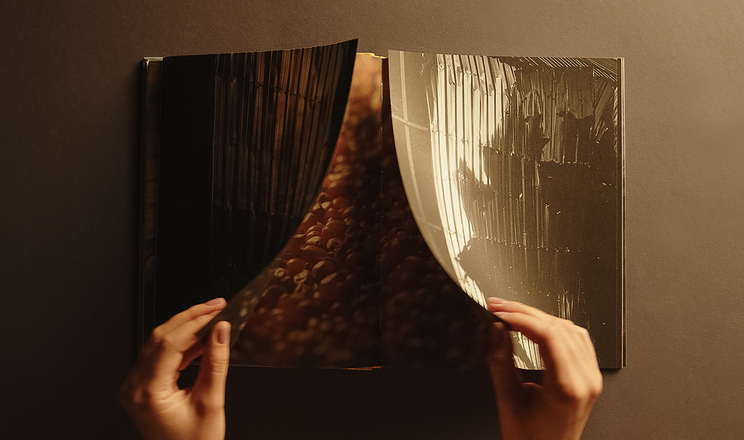 Артбук «Шлях Зерна» здобув три нагороди на Impact Awards Europe