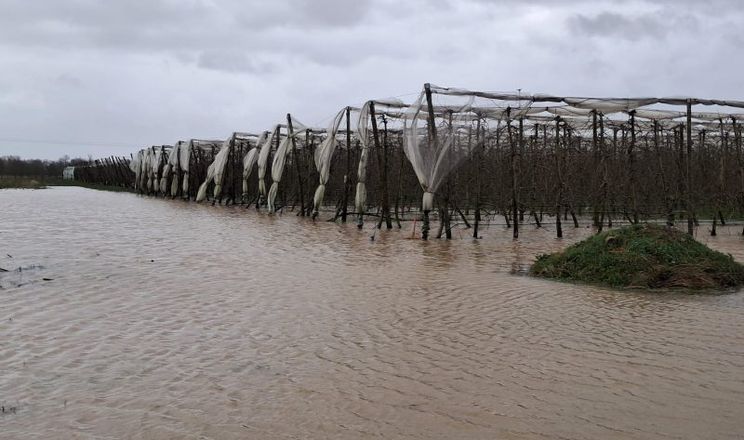 Негода завдала значних збитків садам і теплицям у Європі