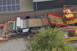 Flikweert Vision представила оптичний сортувальник для картоплі та цибулі