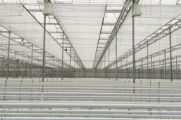 Екранні системи дозволяють збільшити врожайність у теплицях на 25%