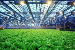 Українських фермерів навчатимуть залучати фінансування та кредити