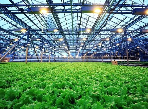 Українських фермерів навчатимуть залучати фінансування та кредити