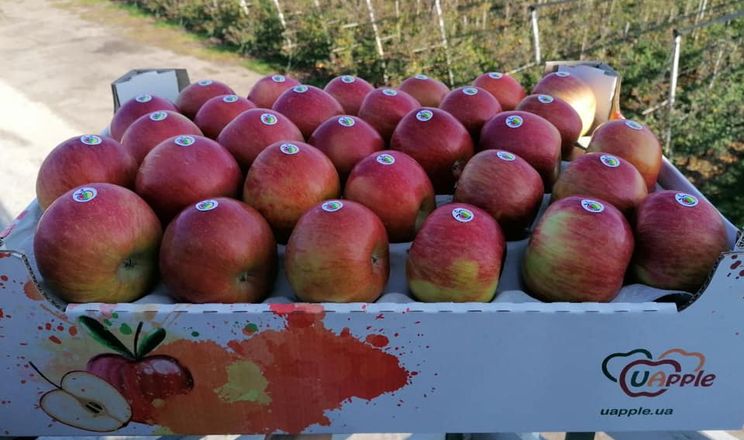 Пакування яблук «Садів Дніпра» розраховане на тривалий шлях