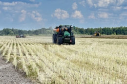 Правильна меліорація може краще вплинути на урожай, ніж додаткове підживлення – агроном