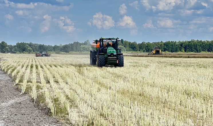 Правильна меліорація може краще вплинути на урожай, ніж додаткове підживлення – агроном