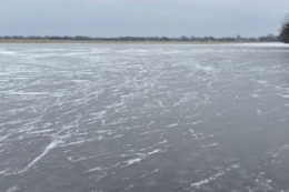 Озимі на Миколаївщині під загрозою: поля перетворилися на крижані озера