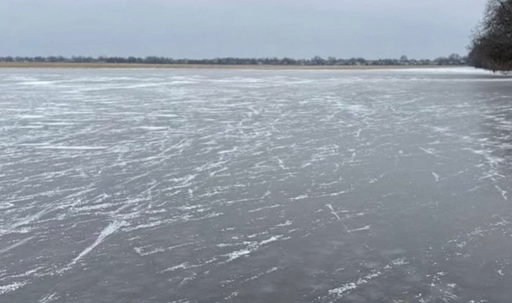 Озимі на Миколаївщині під загрозою: поля перетворилися на крижані озера