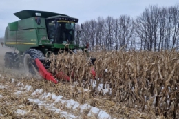 В «АГРОТРЕЙД» відновили збирання кукурудзи