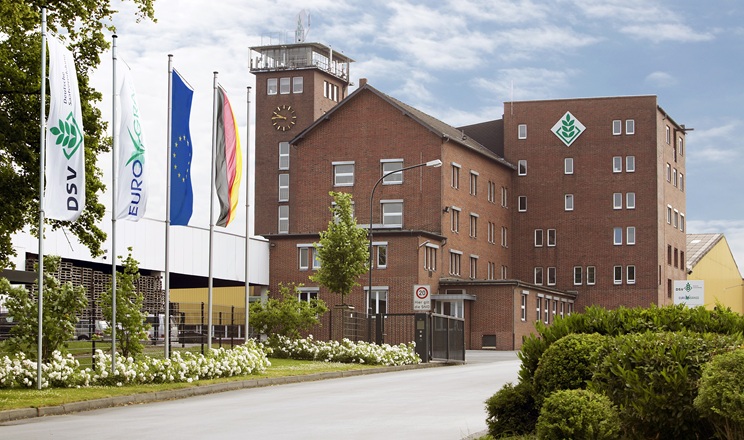 Бренд DSV четвертий рік поспіль лідирує на ринку озимого ріпаку України