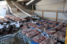 Через атаку на м'ясокомбінат Харкова загинуло двоє людей