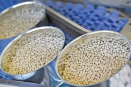 Нідерланди посилюють нагляд за відбором проб насіння овочів