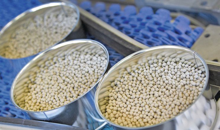 Нідерланди посилюють нагляд за відбором проб насіння овочів