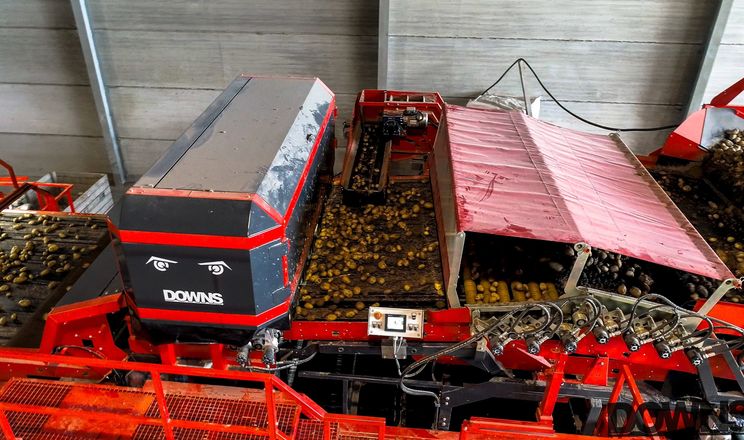 Французький виробник Downs розробив алгоритм для сортування буряків