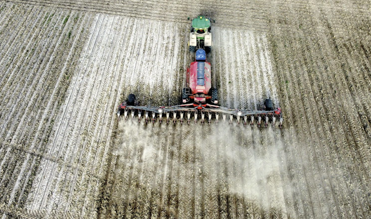 Старт, який формує врожай