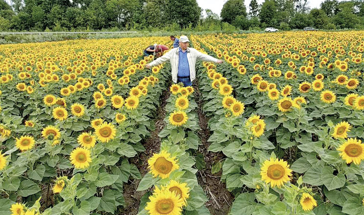 На шляху до сталого землеробства