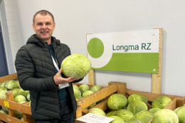 Фахівець назвав перспективні гібриди капусти для різних потреб