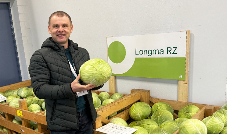 Фахівець назвав перспективні гібриди капусти для різних потреб