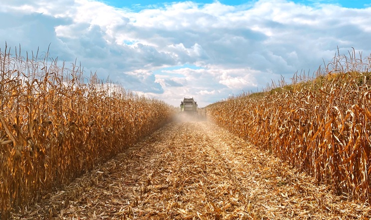 ІМК завершила жнива кукурудзи врожаю-2025