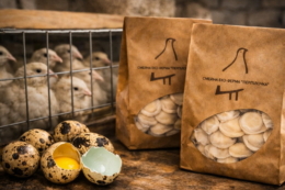 Полтавська перепелина ферма розвиває глибоку переробку