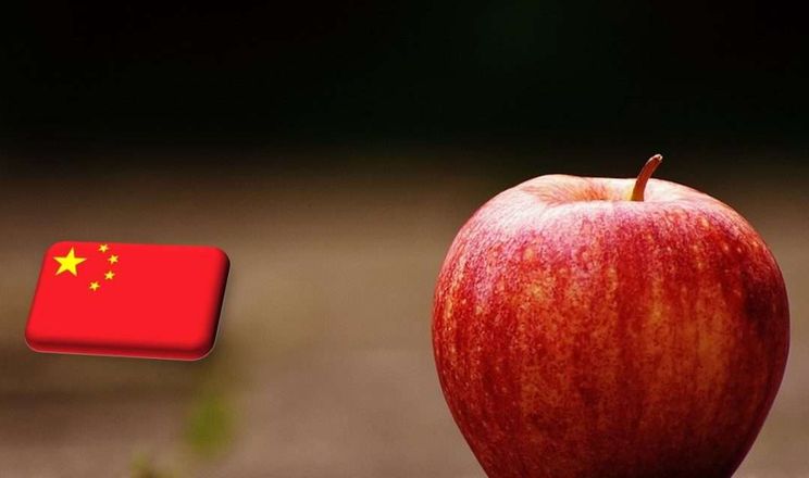 Китай масово переходить на власні сорти яблук