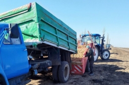 На Миколаївщині розпочали посадку ранньої картоплі під агроволокном