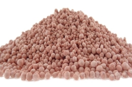 Конфлікт на Близькому Сході може спричинити здорожчання добрив