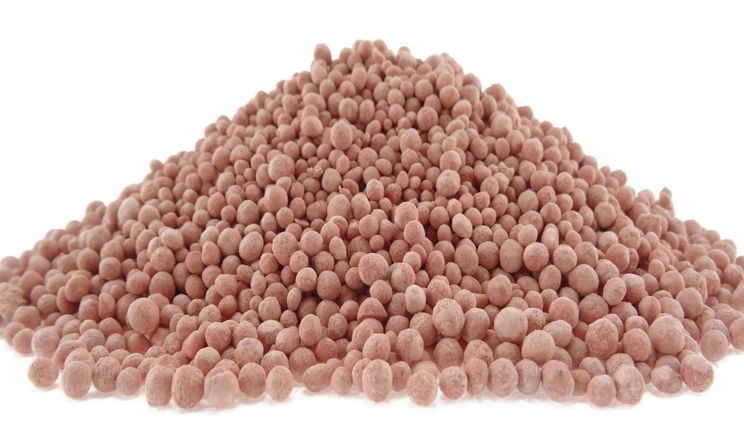 Конфлікт на Близькому Сході може спричинити здорожчання добрив