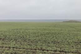 Як підживлюють озимі в СВК «Родина» на Одещині для найкращого результату