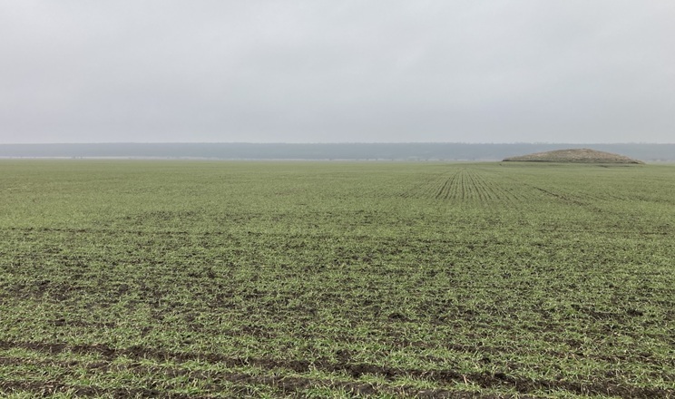 Як підживлюють озимі в СВК «Родина» на Одещині для найкращого результату