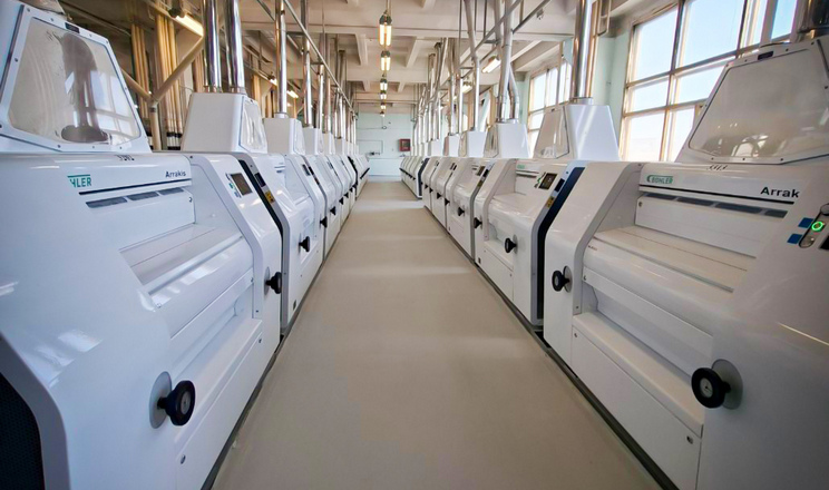 «Київський млин» наростив виробництво борошна