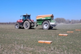 Озимі в «Агро-Регіон» відновлюють вегетацію: триває підживлення посівів